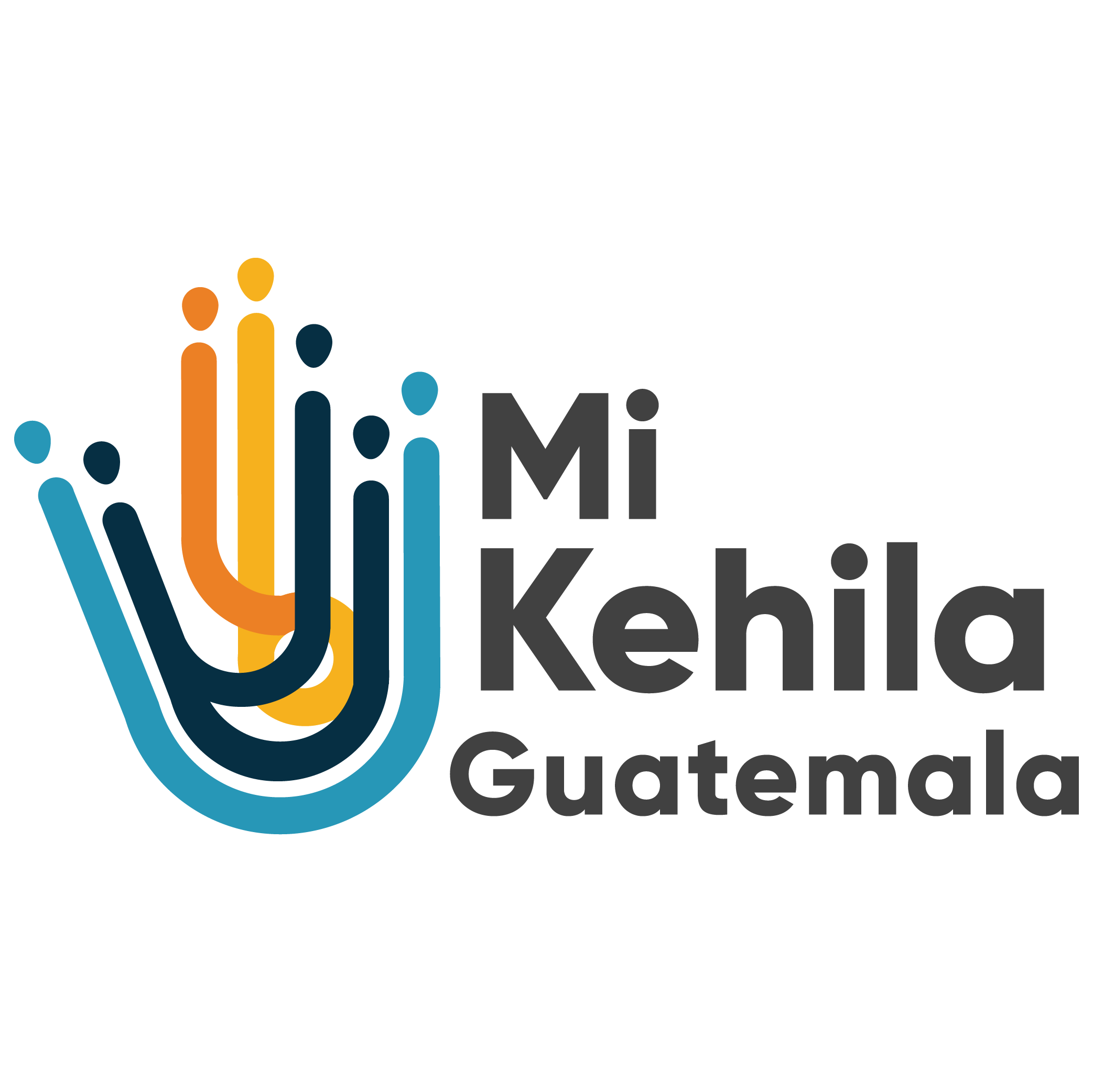 Logo Dominio