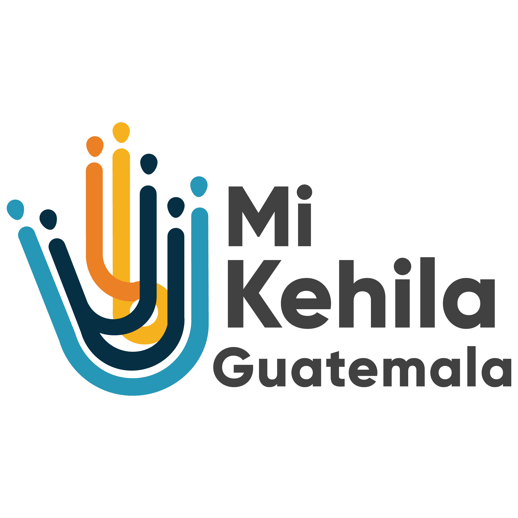 Logo Dominio