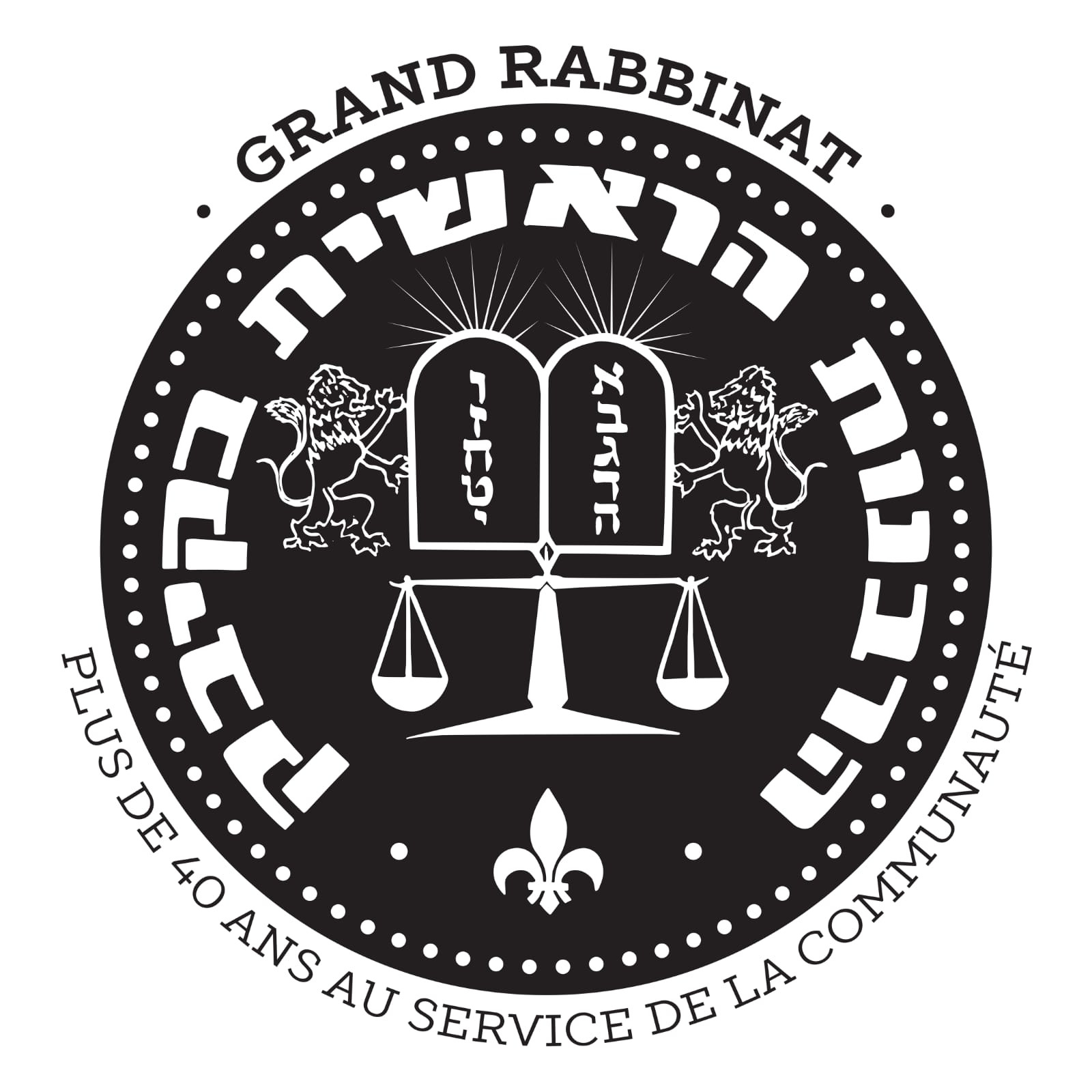 Logo Domain