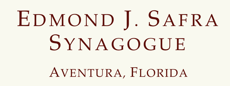 Logo Safra Miami - Women